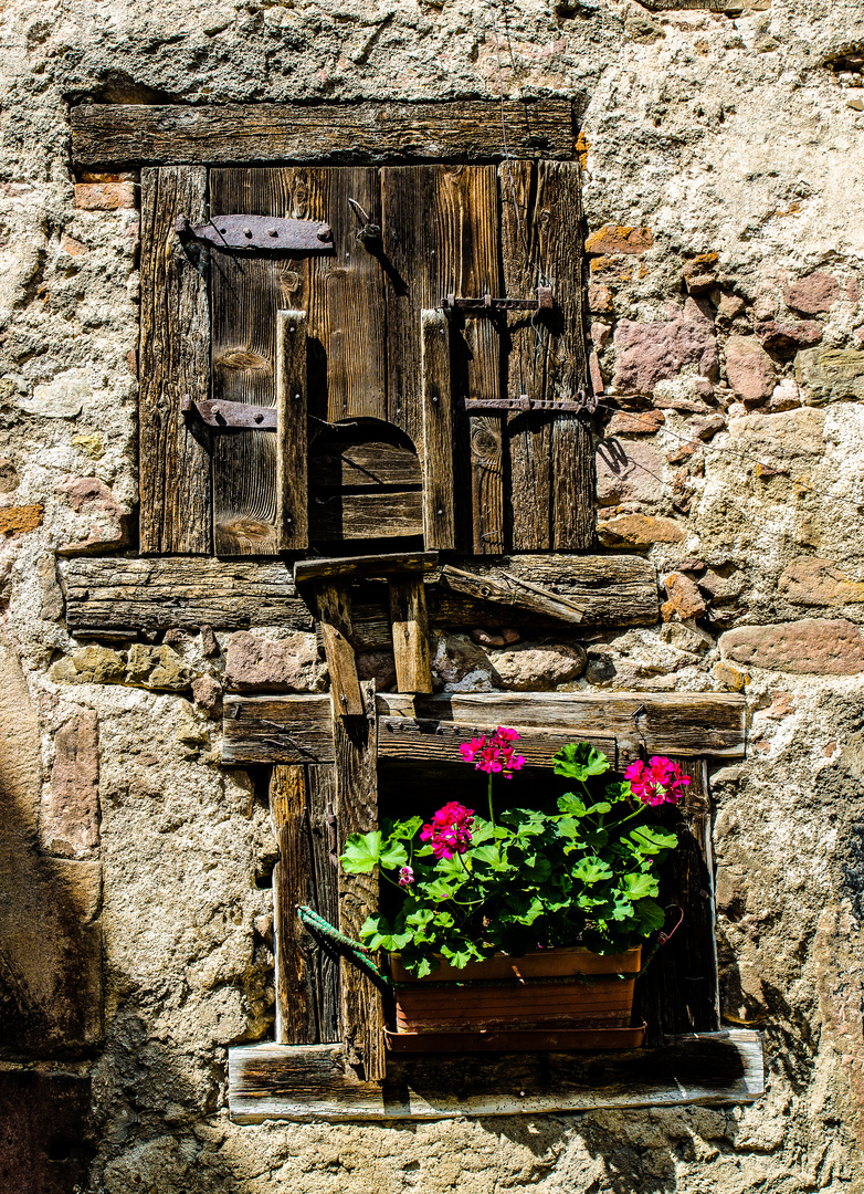 Fenster mit Blumen