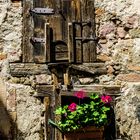 Fenster mit Blumen