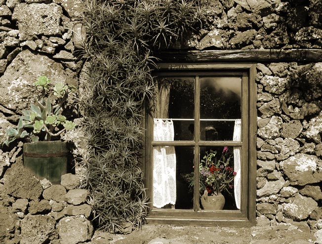 Fenster mit Blumen