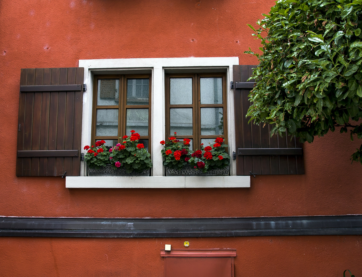 Fenster mit Blumen&hellip; Foto &amp; Bild architektur