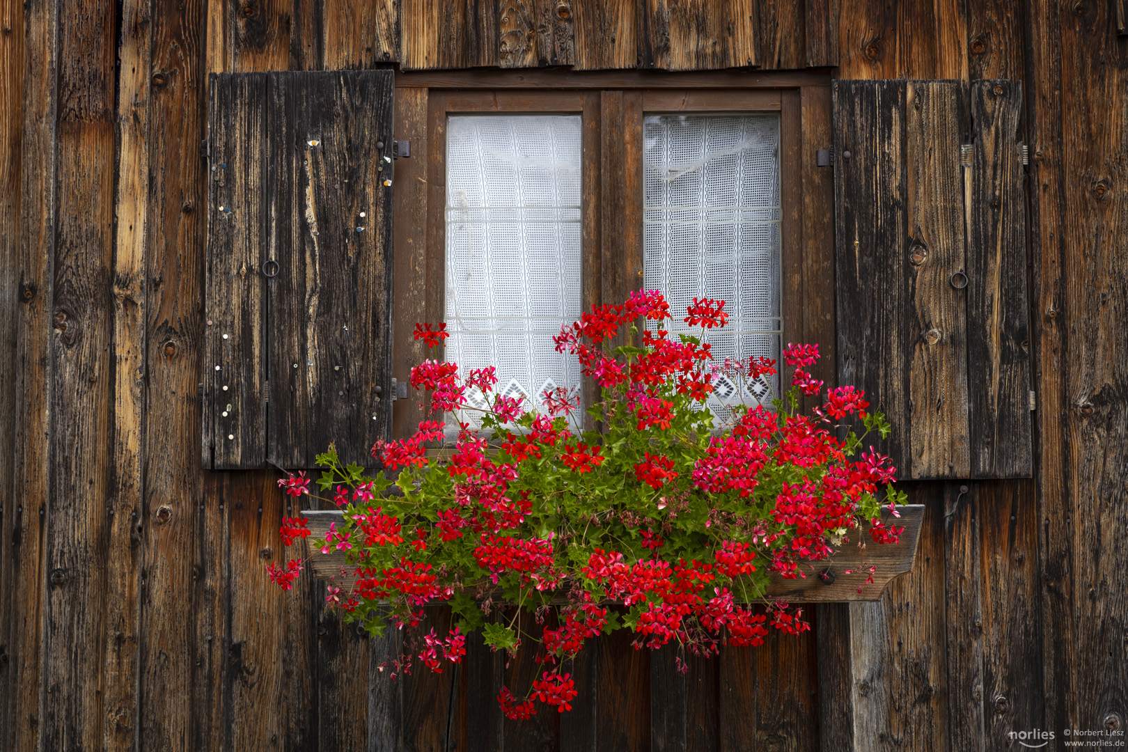 Fenster mit Blumen