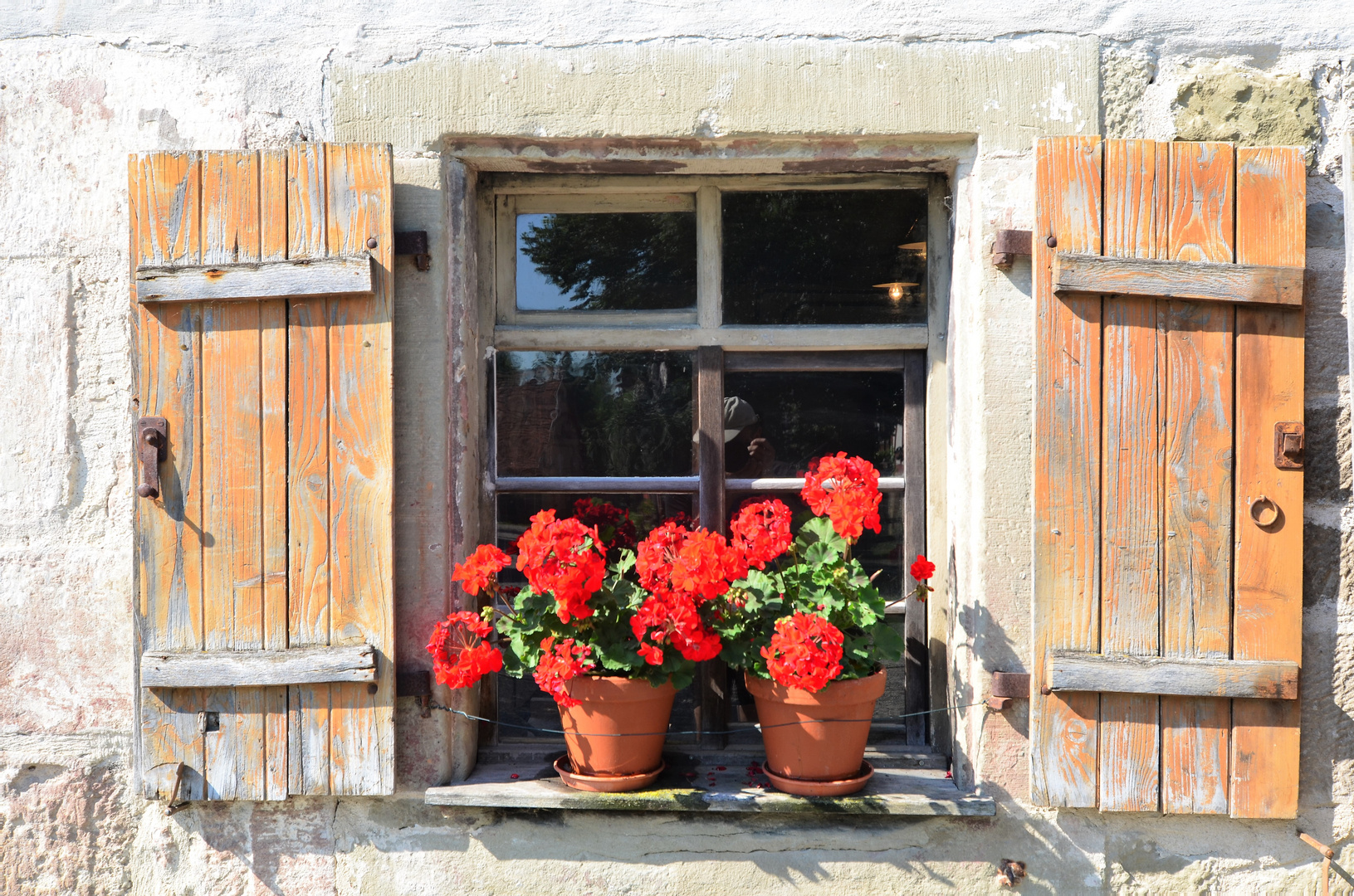 Fenster mit Blumen Foto & Bild kultur + kunst, motive