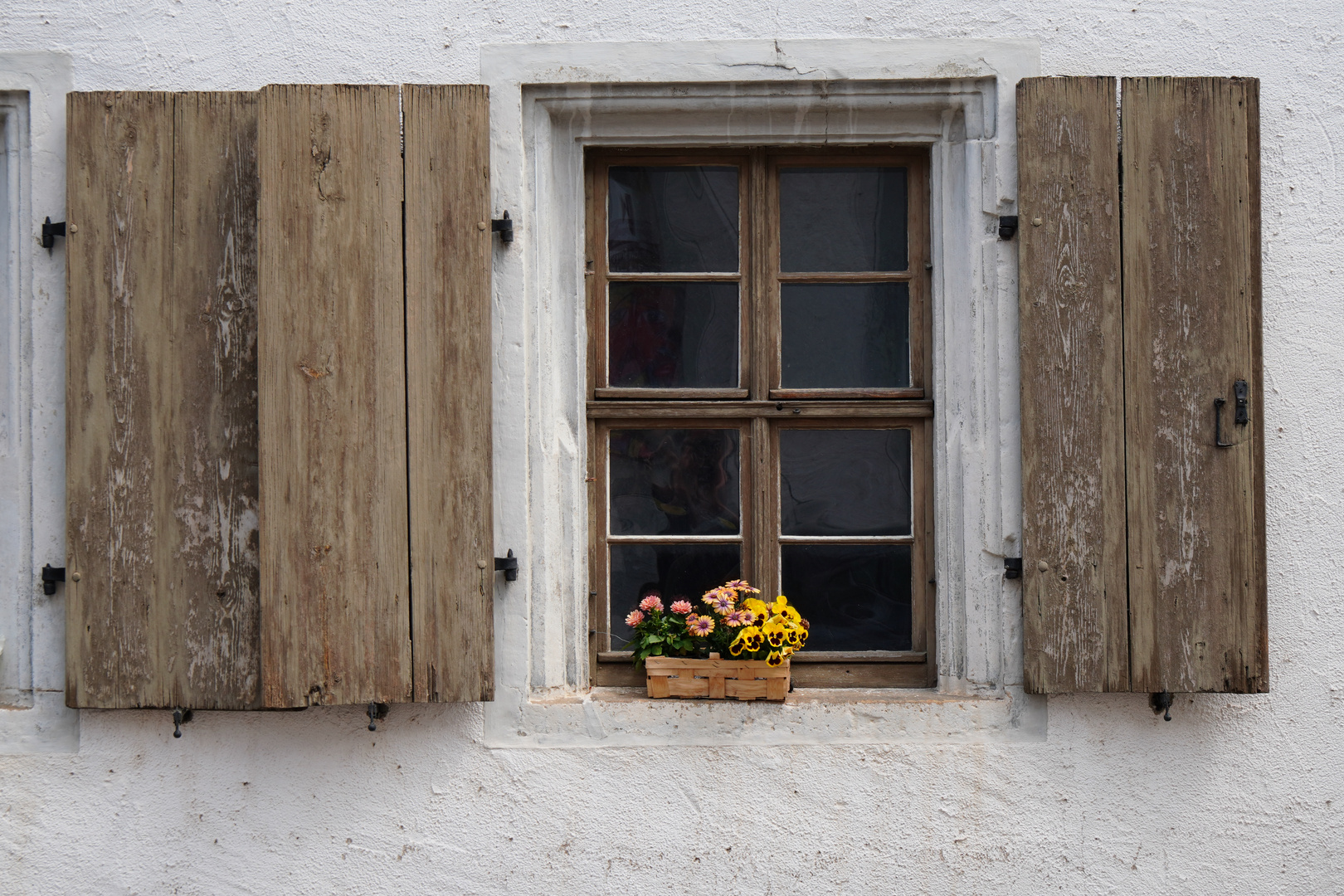 Fenster mit Blumen II