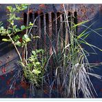 Fenster mit Blumenkasten