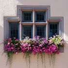 Fenster mit Blumenschmuck