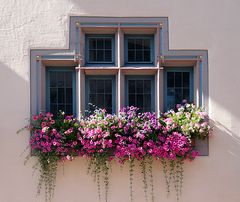 Fenster mit Blumenschmuck