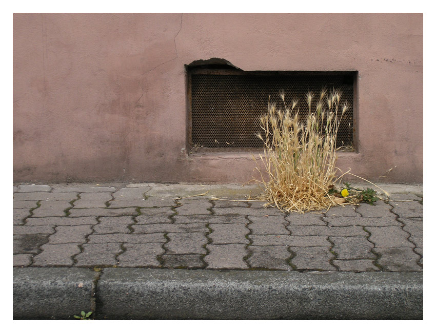 Fenster (mit Ecke)