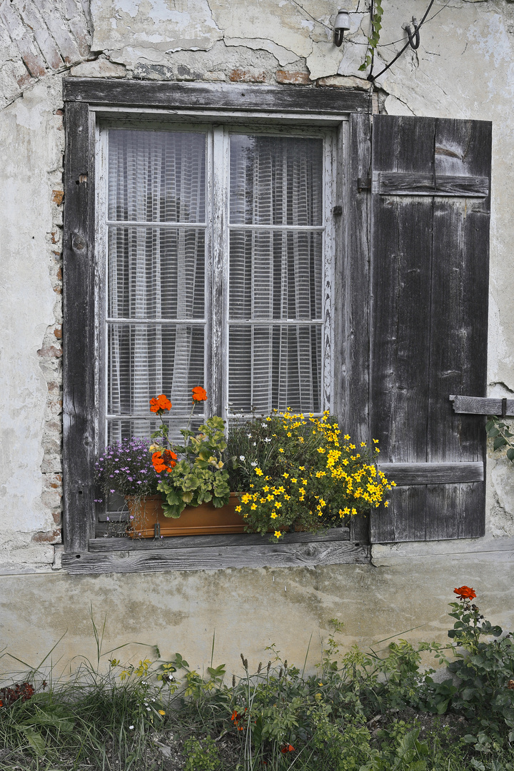 Fenster mit Geranie