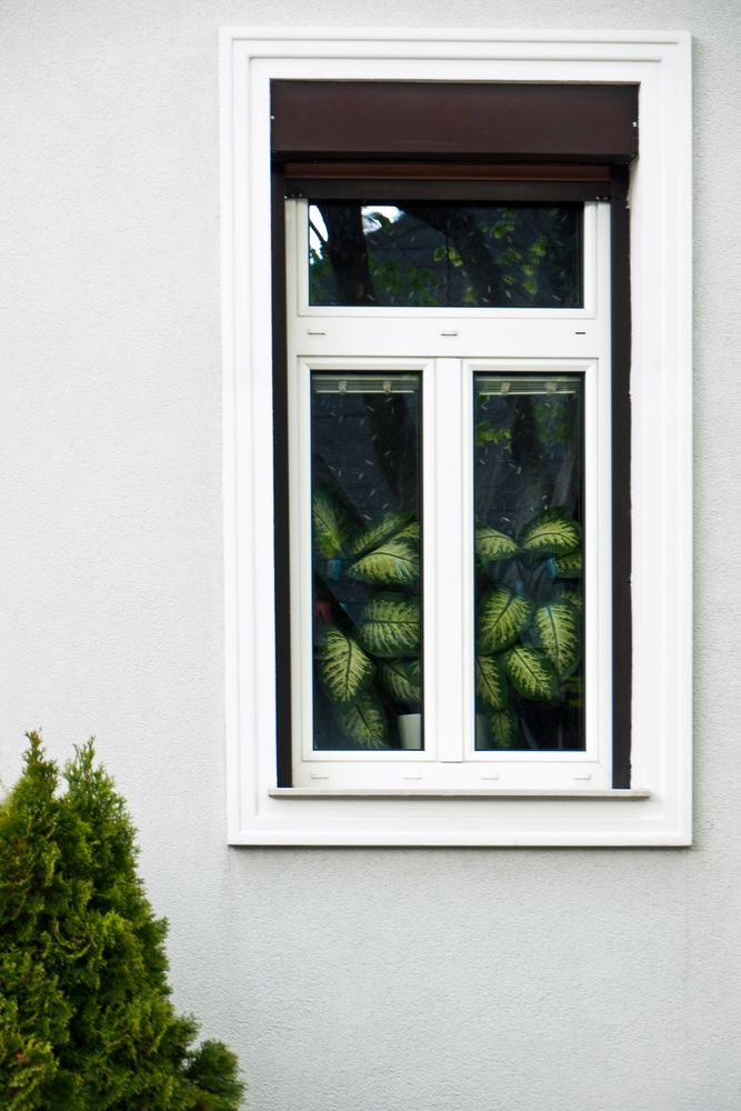 Fenster mit Grün