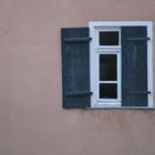 Fenster mit Grünzeugs