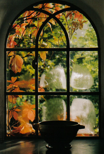 Fenster mit Herbstlaub reload