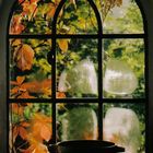 Fenster mit Herbstlaub reload