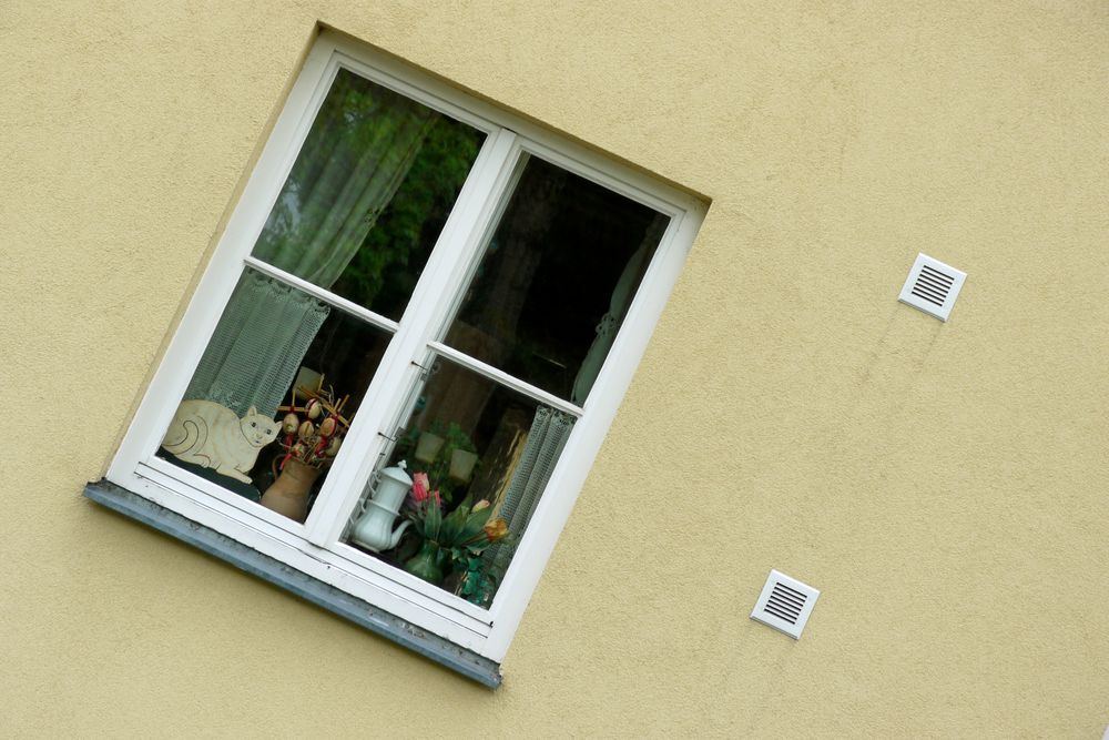 Fenster mit Katze