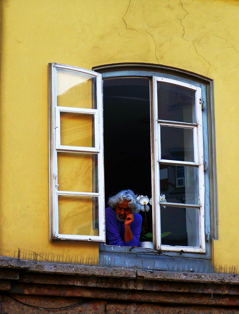 Fenster mit Mann, stachlige Aussicht