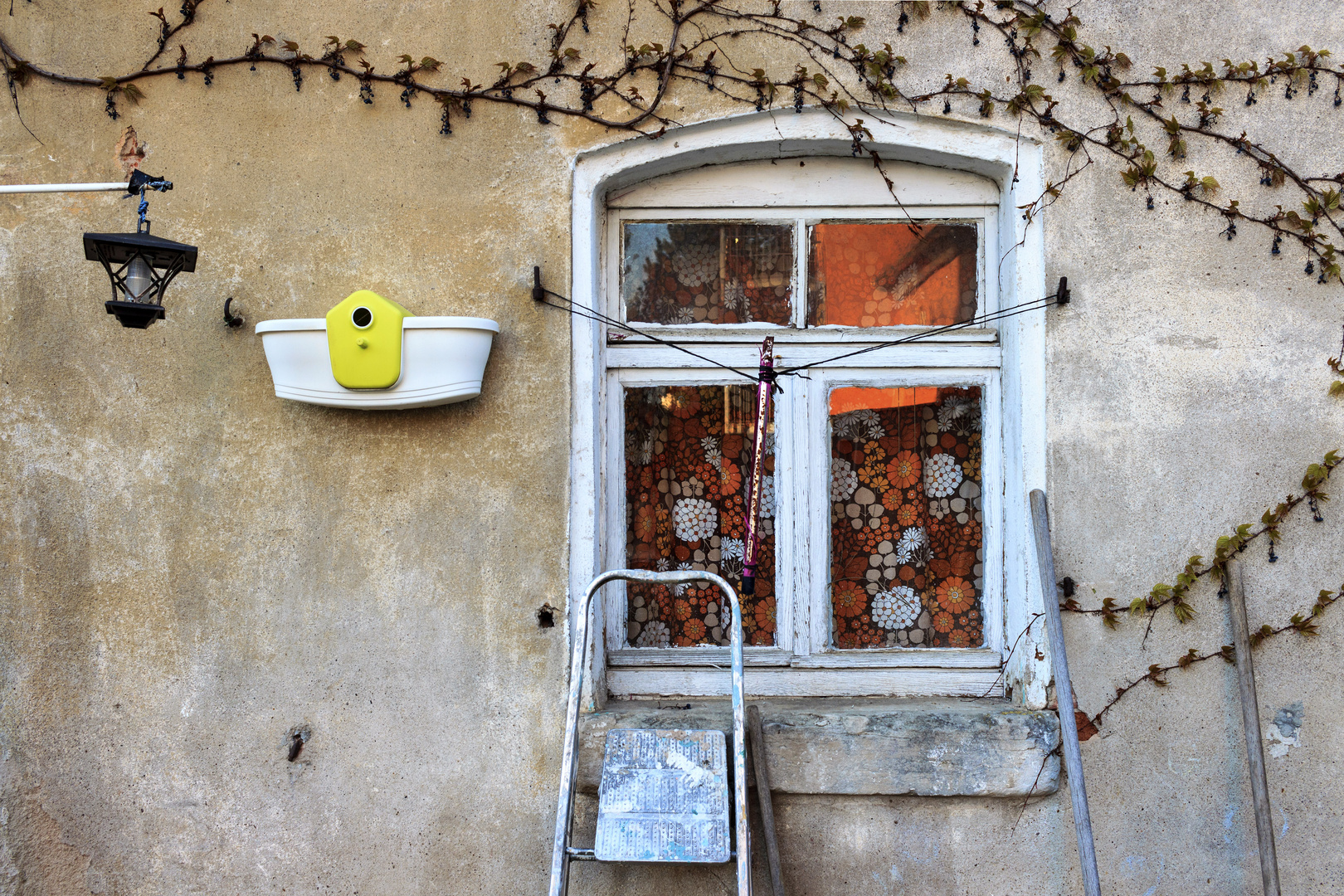 Fenster mit Trittleiter und futuristischem Vogelhaus