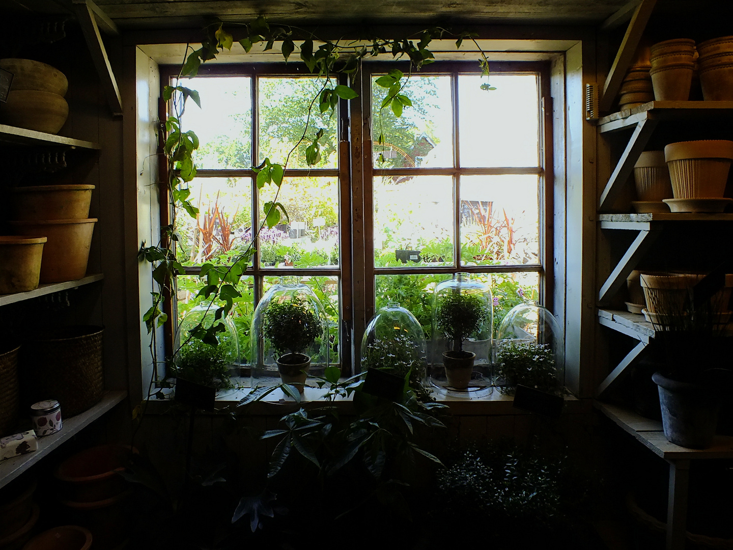 Fenster nach draußen 