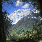 Fenster nach Milford Sound