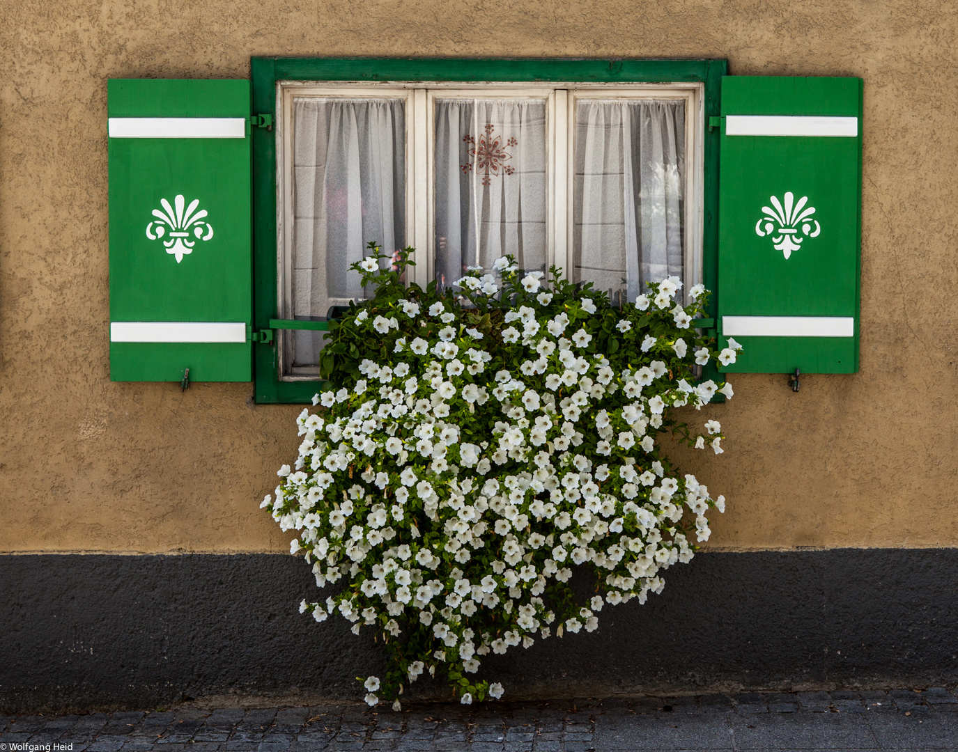 Fenster Nr. 12