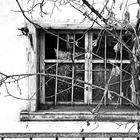 Fenster Nukus 01 23