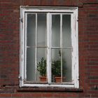 Fenster Oer-Erkenschwick