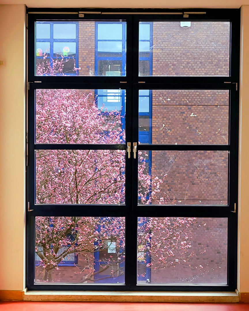 Fenster Pt. 11