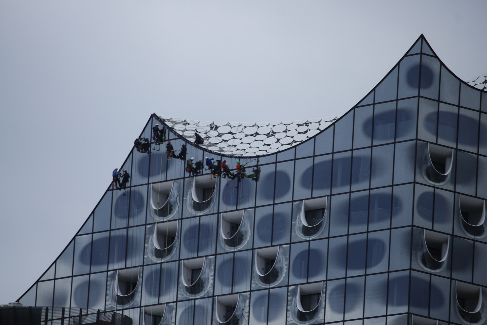 Fenster putzen an der Elfi 