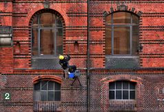 Fenster putzen Speicherstadt 