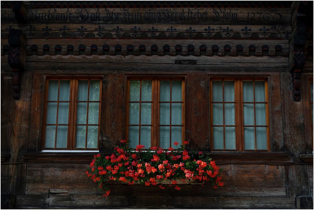 Fenster - Schmuck