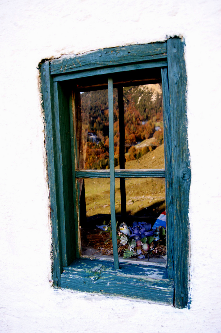 Fenster Spiegel