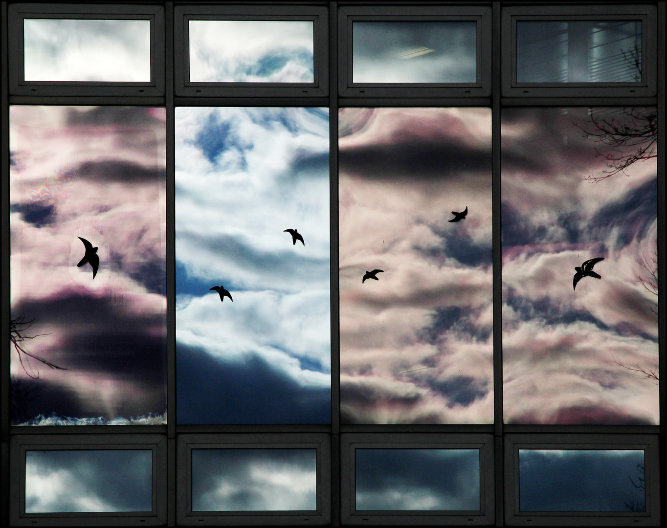 Fenster Spiegelung Foto Bild Fenster Wolken Himmel Bilder Auf Fotocommunity