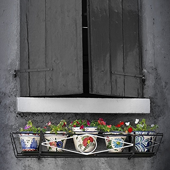 Fenster und Blumen