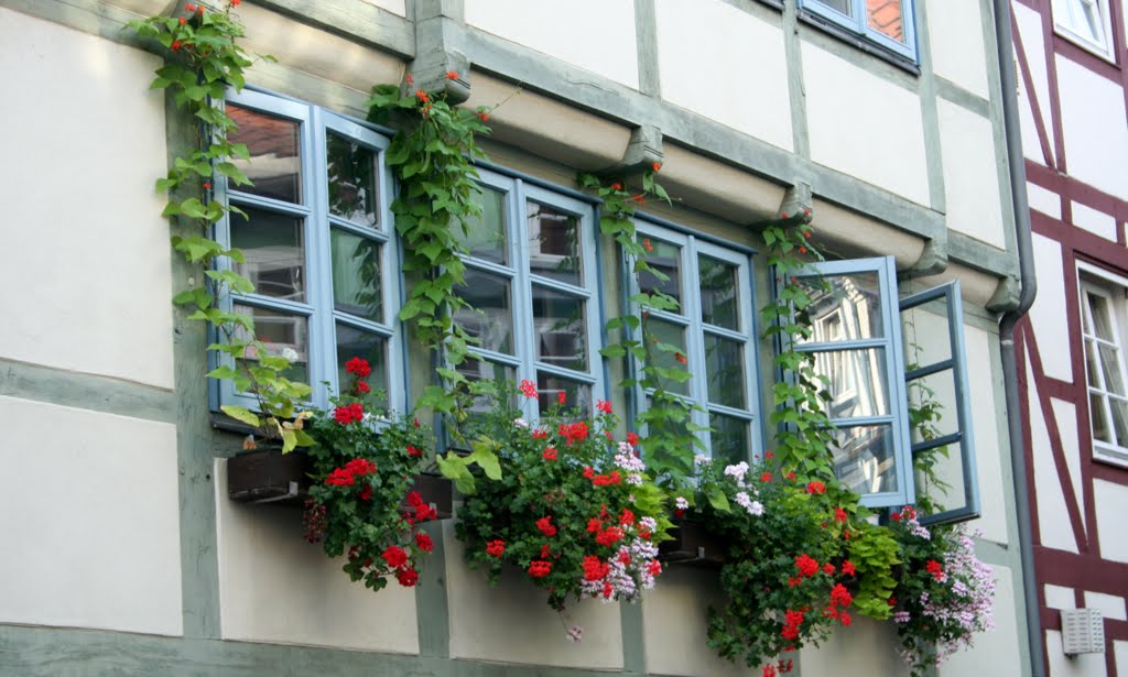 Fenster und Blumen im Fachwerk von Wolfenbüttel Foto