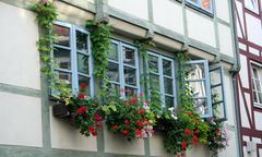 Fenster und Blumen im Fachwerk von Wolfenbüttel