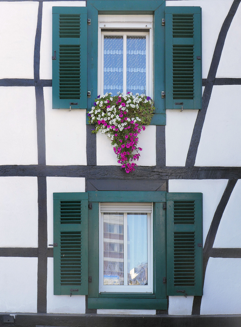 Fenster und Fachwerk