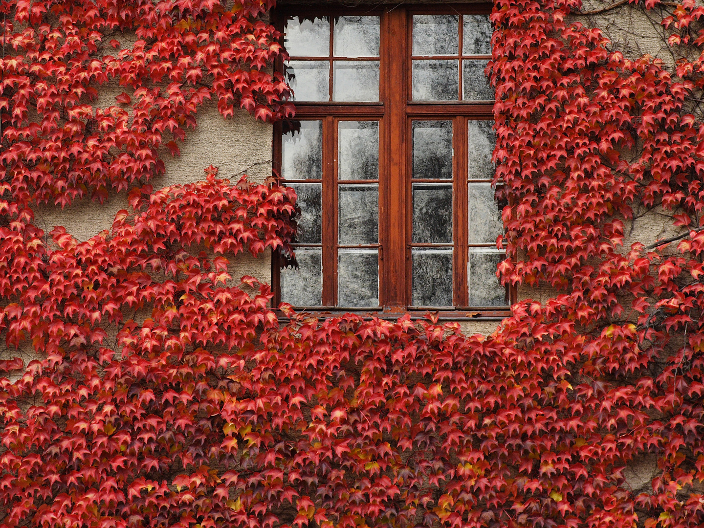 Fenster und Fassaden #1