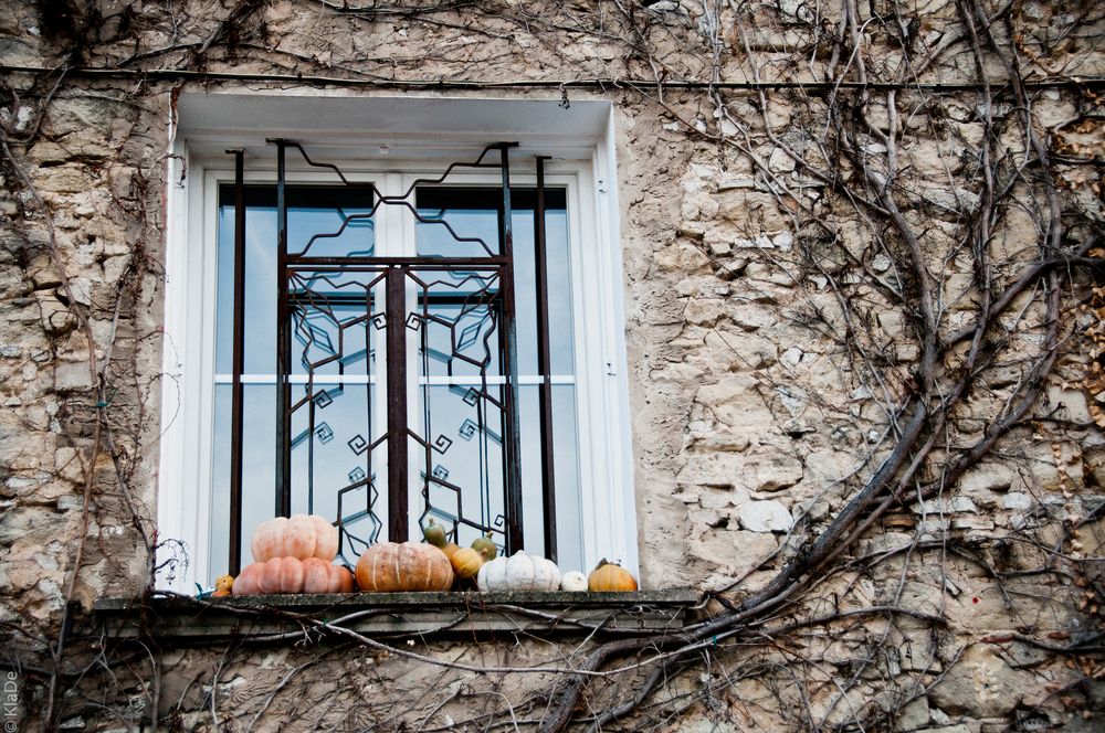 Fenster und Kürbisse