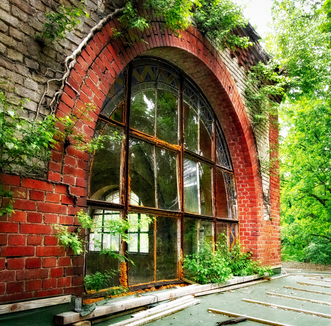 Fenster und Natur