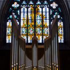 Fenster und Orgel in der Minoriten-Kirche, Köln