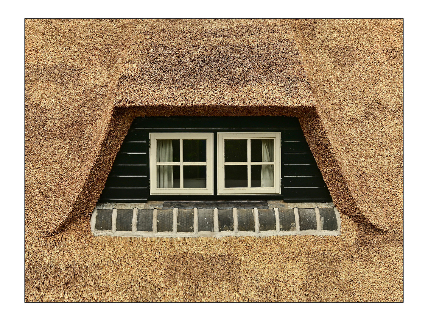 Fenster und Reetdach 