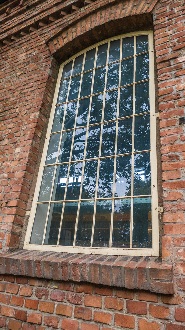 Fenster von der im Absiedeln begriffenen Remise der Badner Bahn