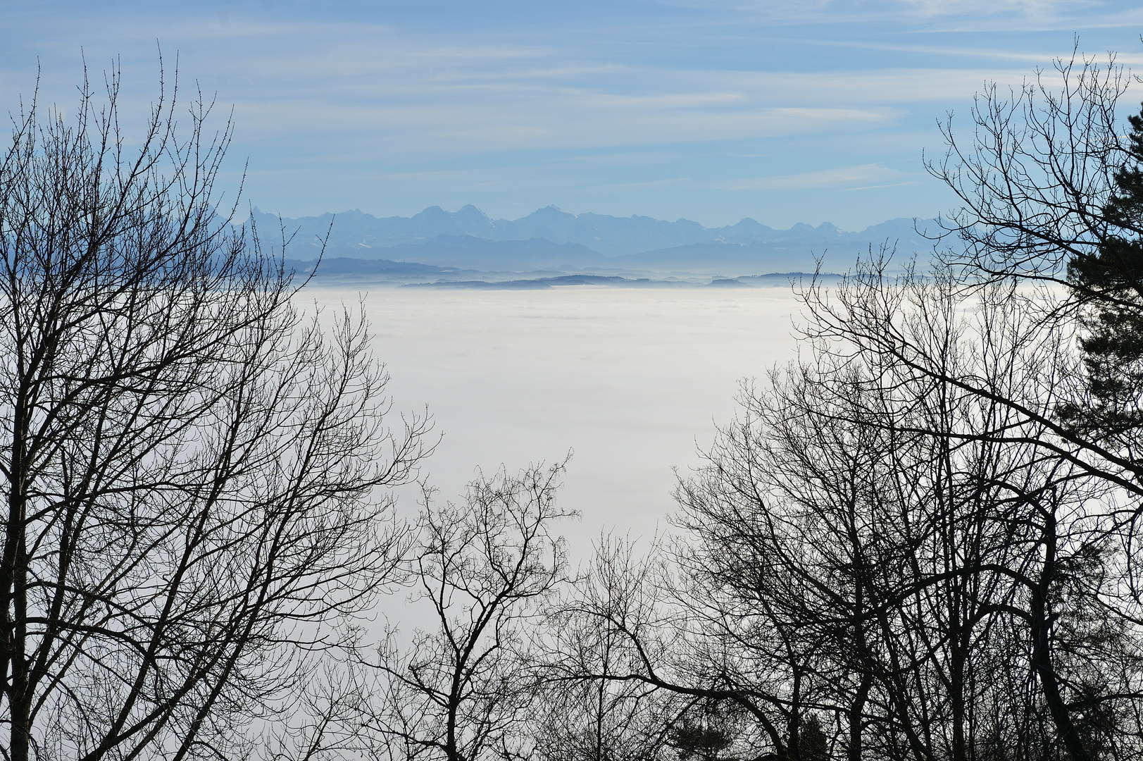 Fenster zu den Alpen