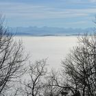 Fenster zu den Alpen