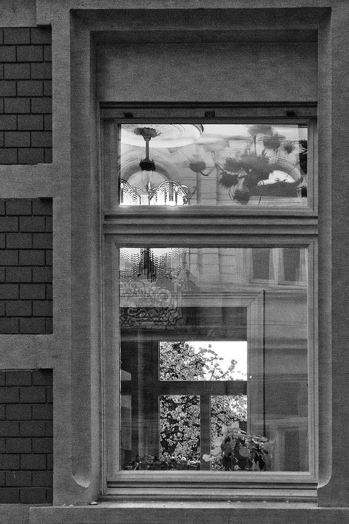 Fenster Zu Den Kirschbluten Foto Bild Schwarz Weiss Fenster Bluten Bilder Auf Fotocommunity