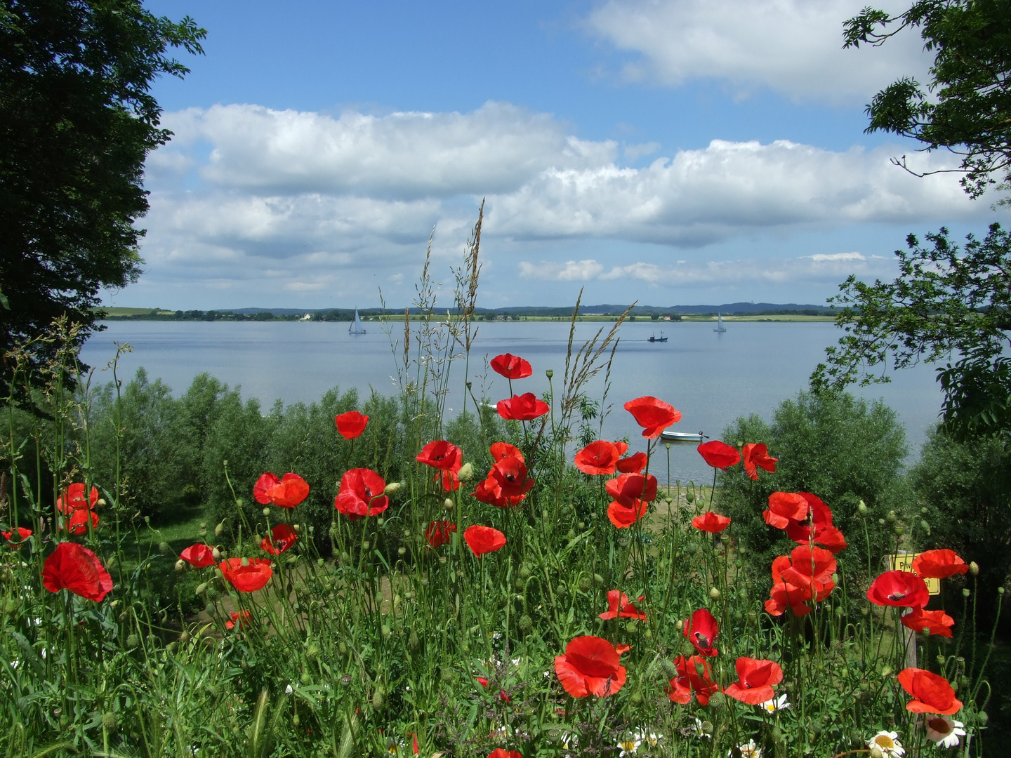 Fenster zum Bodden