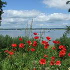 Fenster zum Bodden