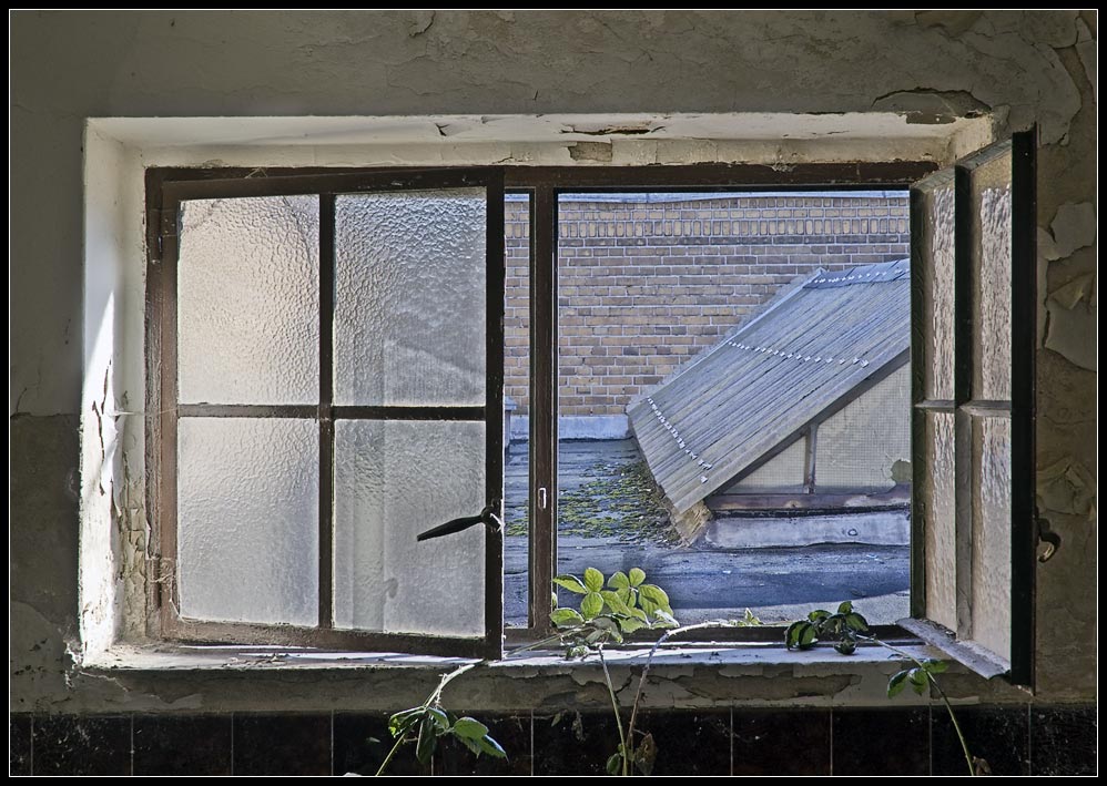 Fenster zum Dach