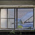 Fenster zum Dach