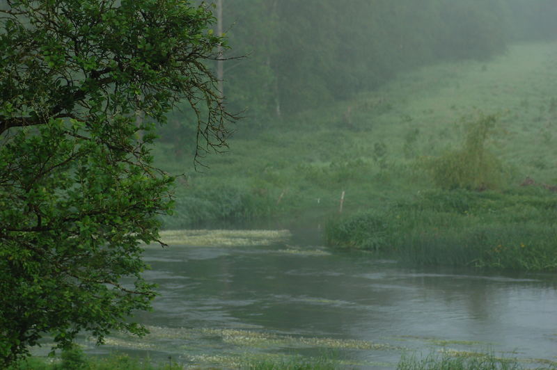 Fenster zum Fluss