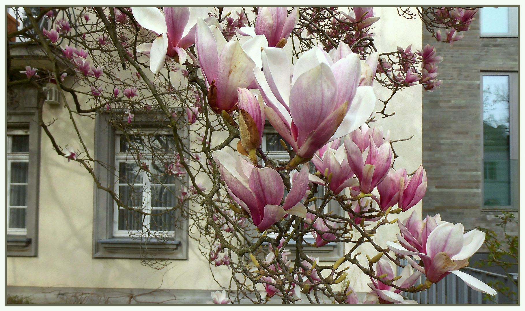 Fenster zum Frühling