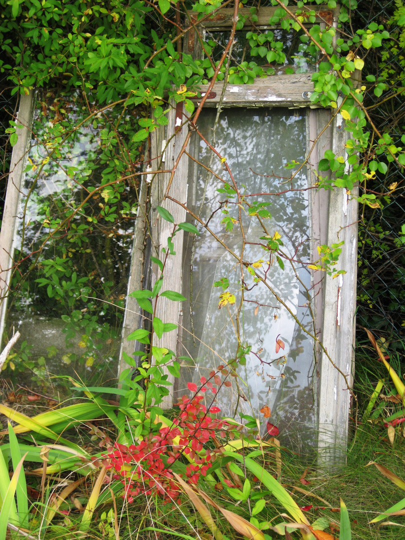 Fenster zum Garten